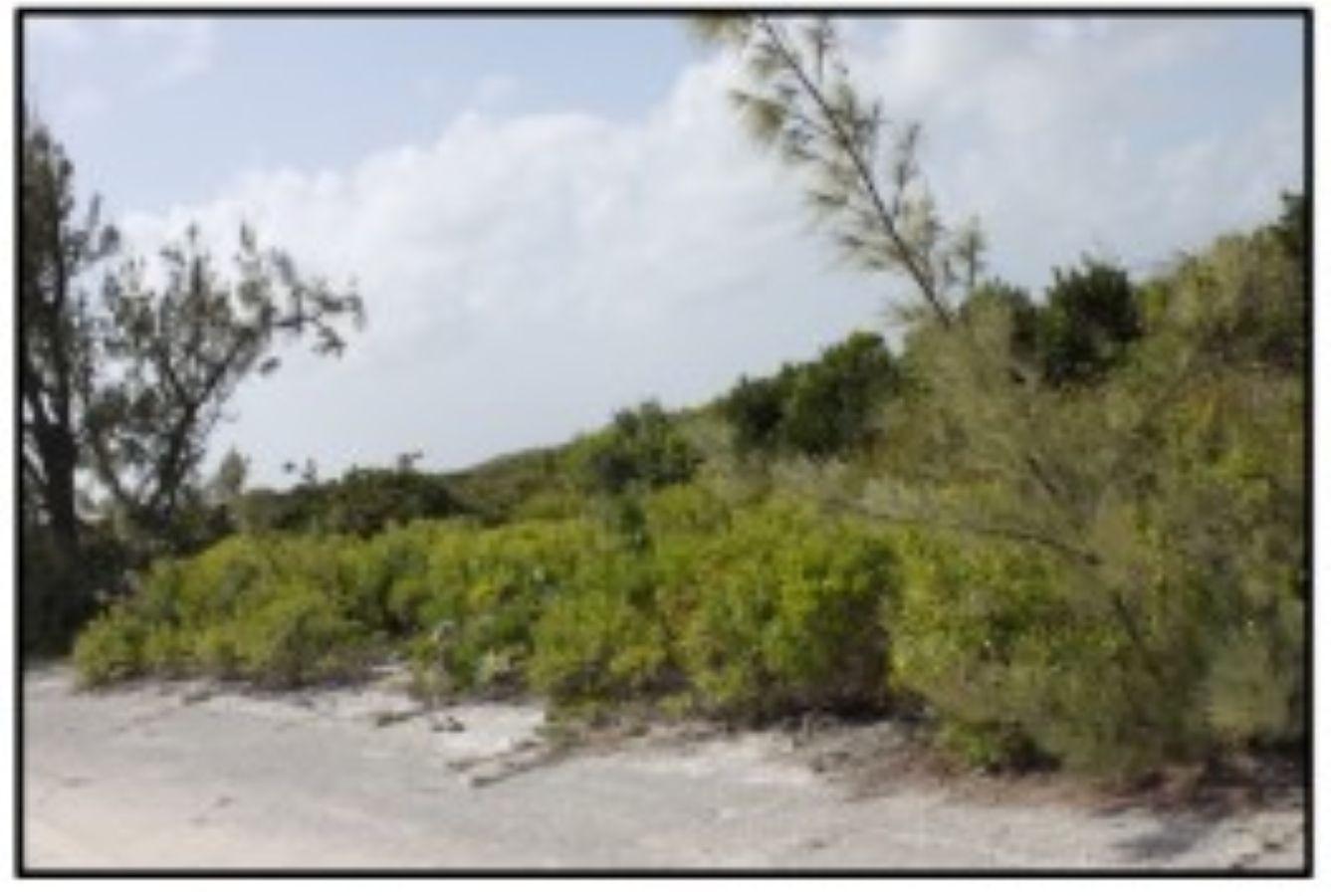Vacant Land