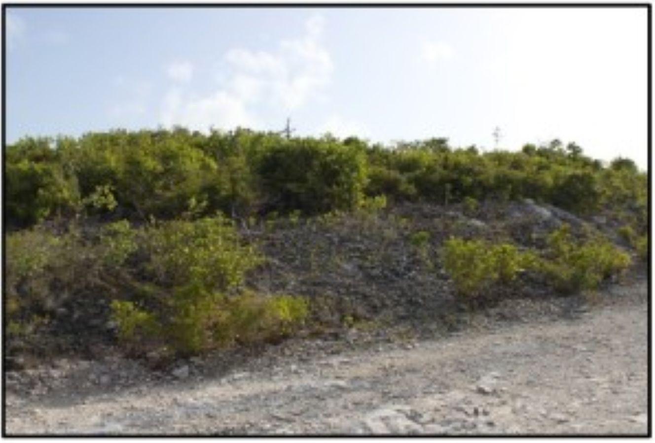 Vacant Land