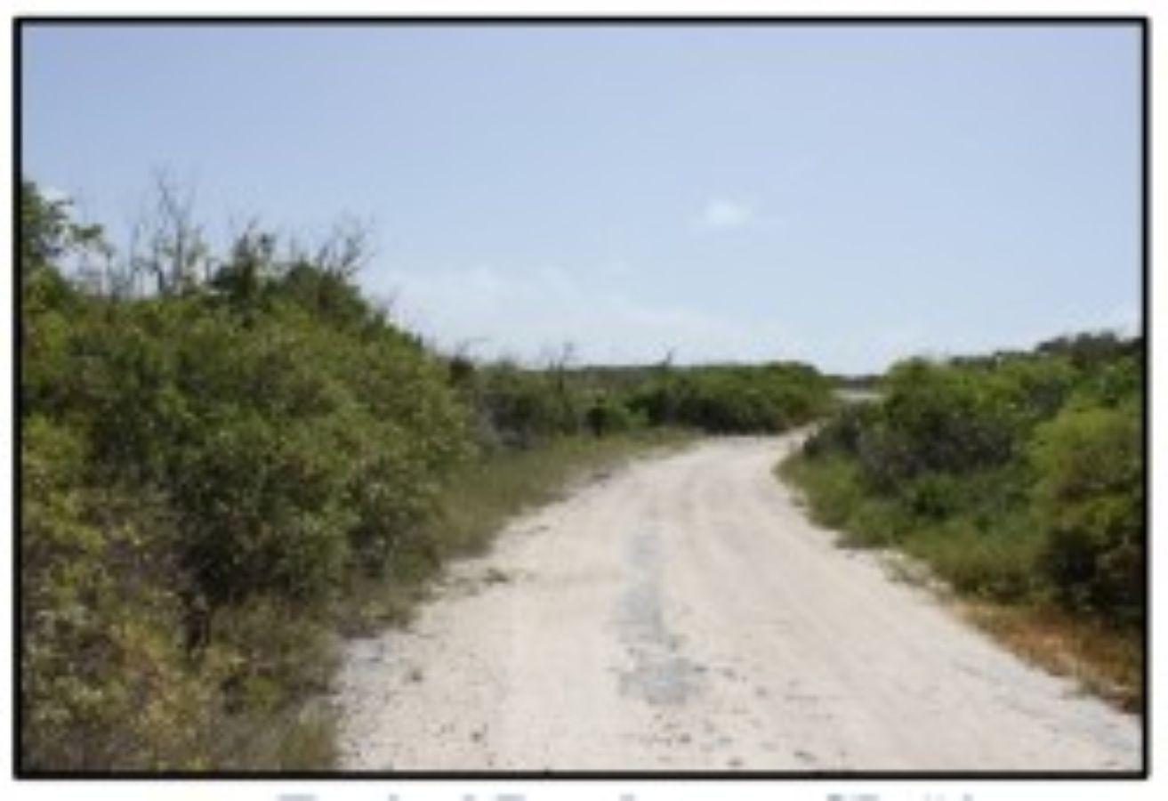 Vacant Land