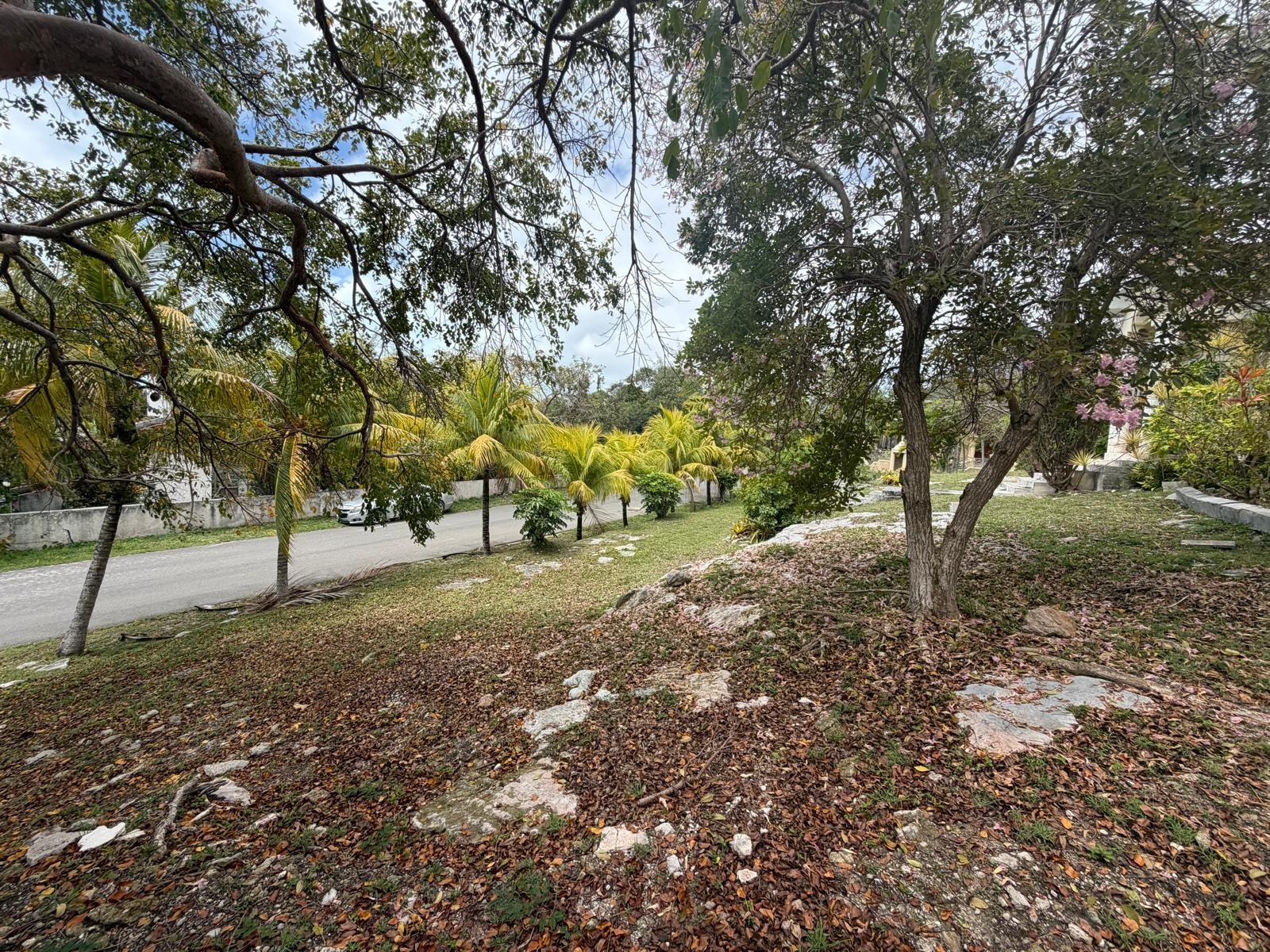 WOODLAND WAY