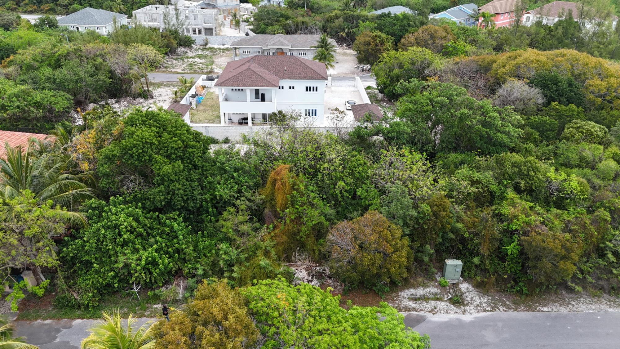 PAUL CAY & OCEAN DRIVE