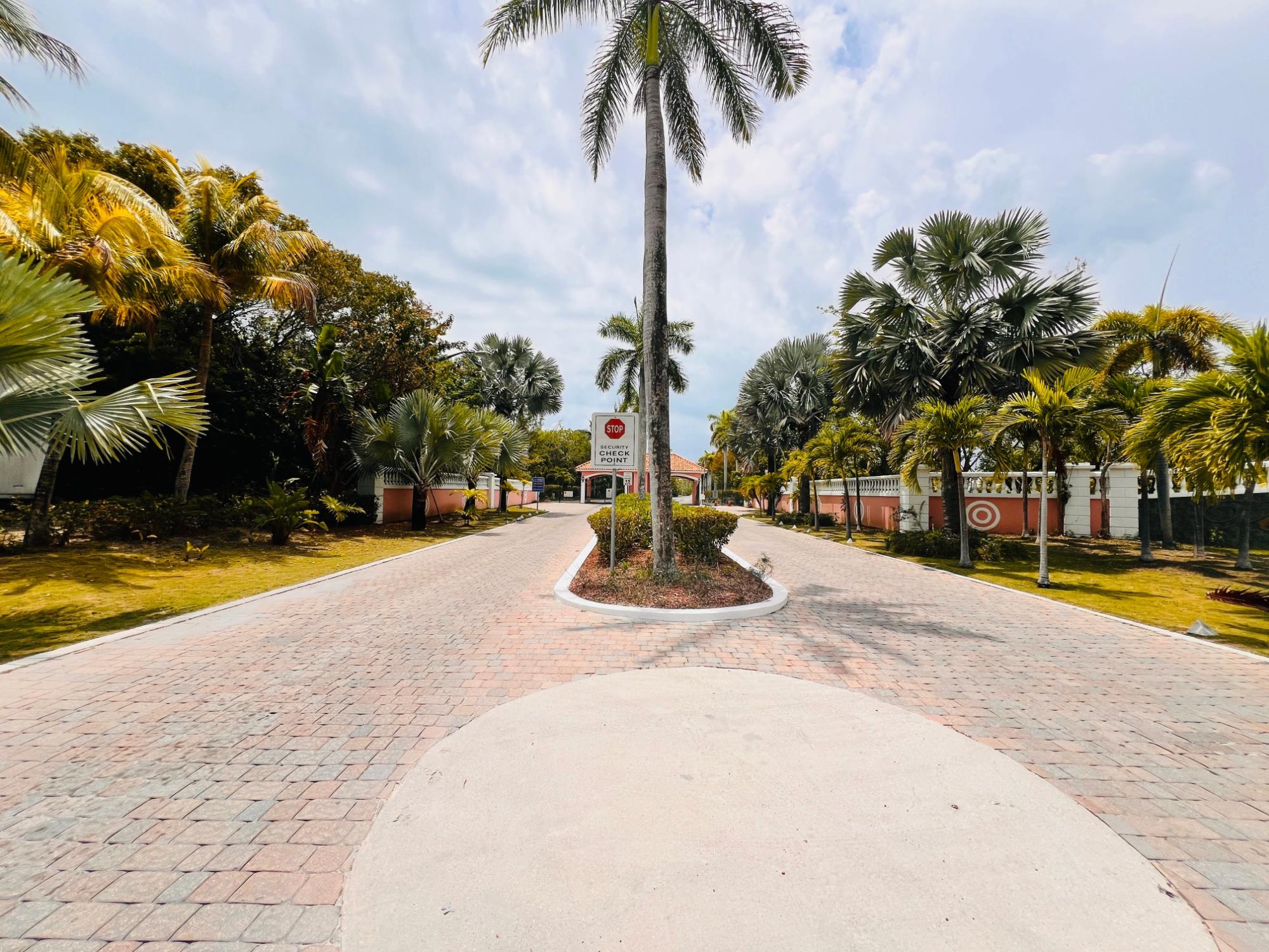 PAUL CAY & OCEAN DRIVE