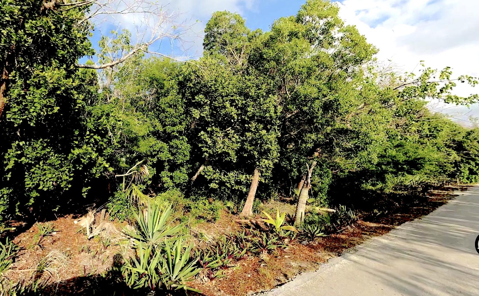 LOT R 27 PALMETTO SHORES