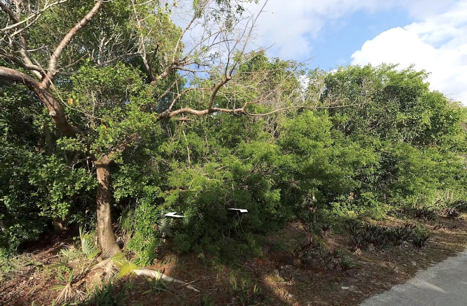 LOT R 27 PALMETTO SHORES