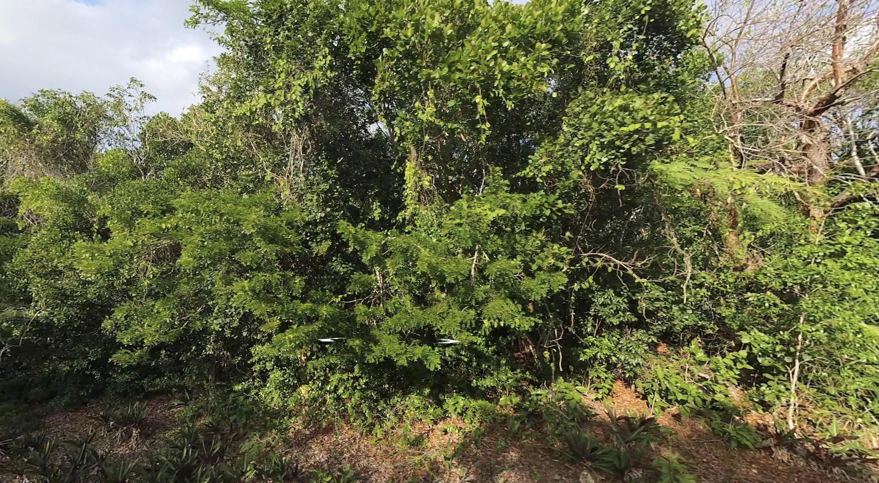 LOT R 27 PALMETTO SHORES