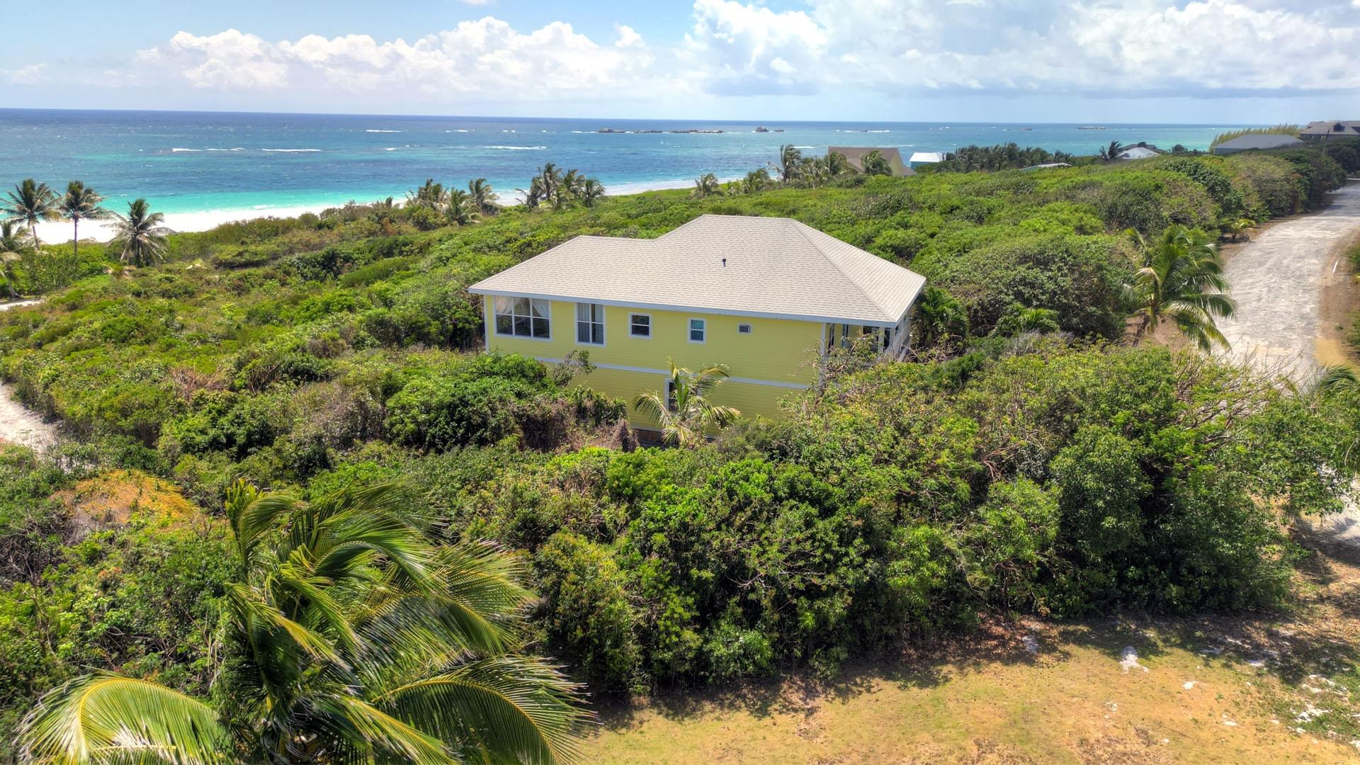 RHUMBALL, LOT 390