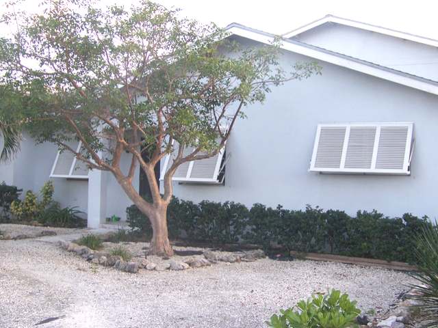 TROPICAL GARDENS.