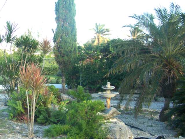 TROPICAL GARDENS.