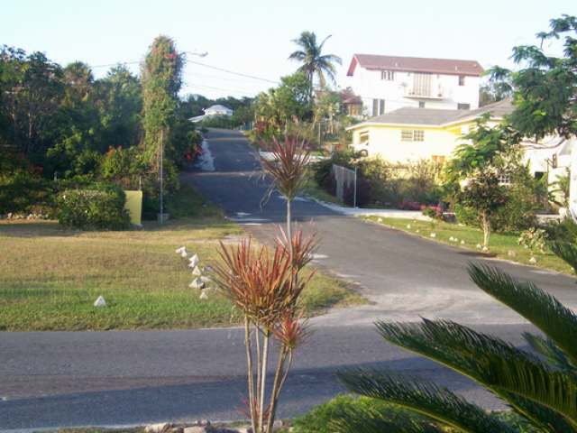 TROPICAL GARDENS.