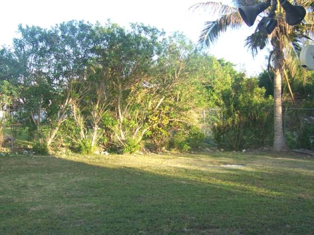TROPICAL GARDENS.