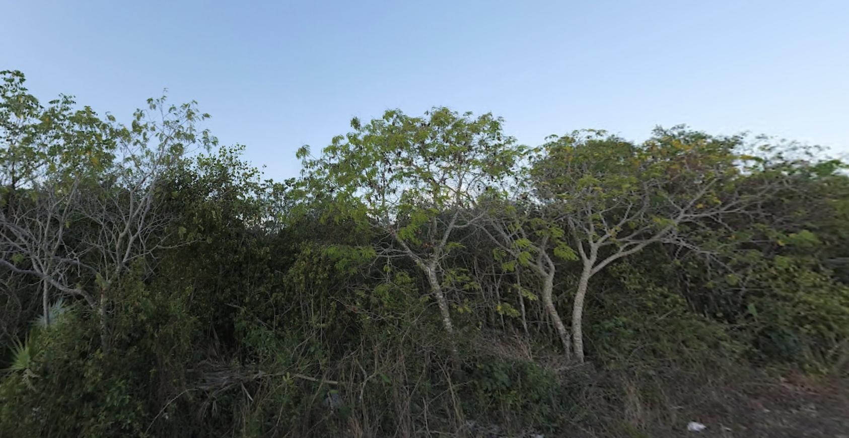 LOT #397 HOLMES ROCK