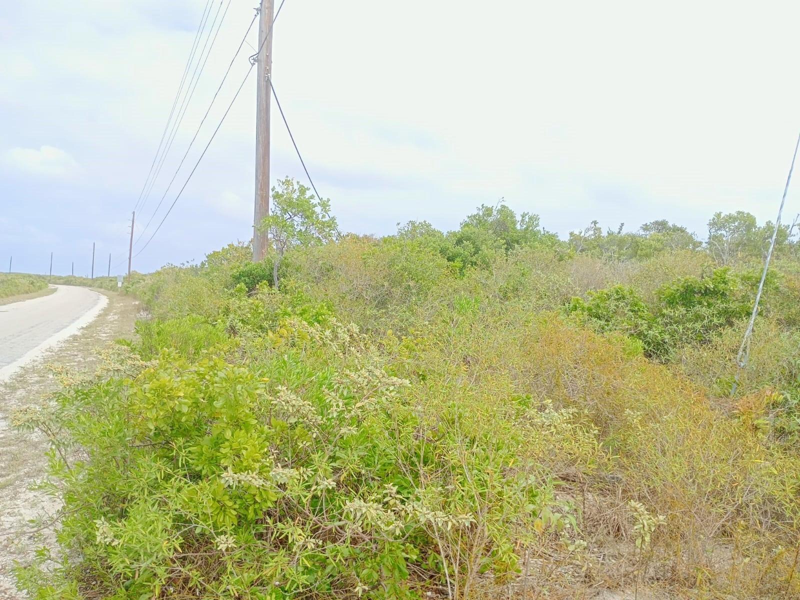 LOTHIAN TRACT, GRAHAM HBR