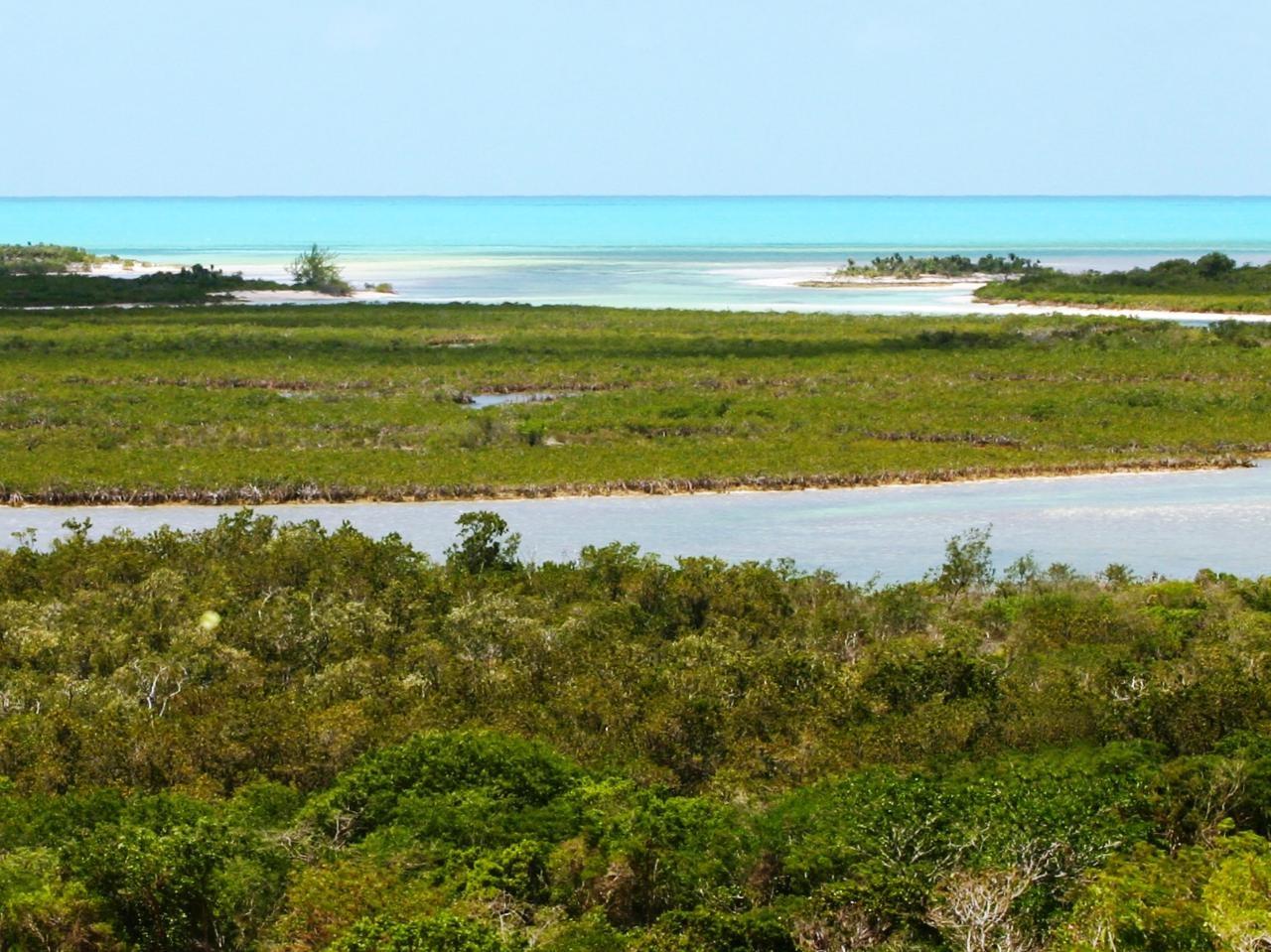 EXUMA VIEW