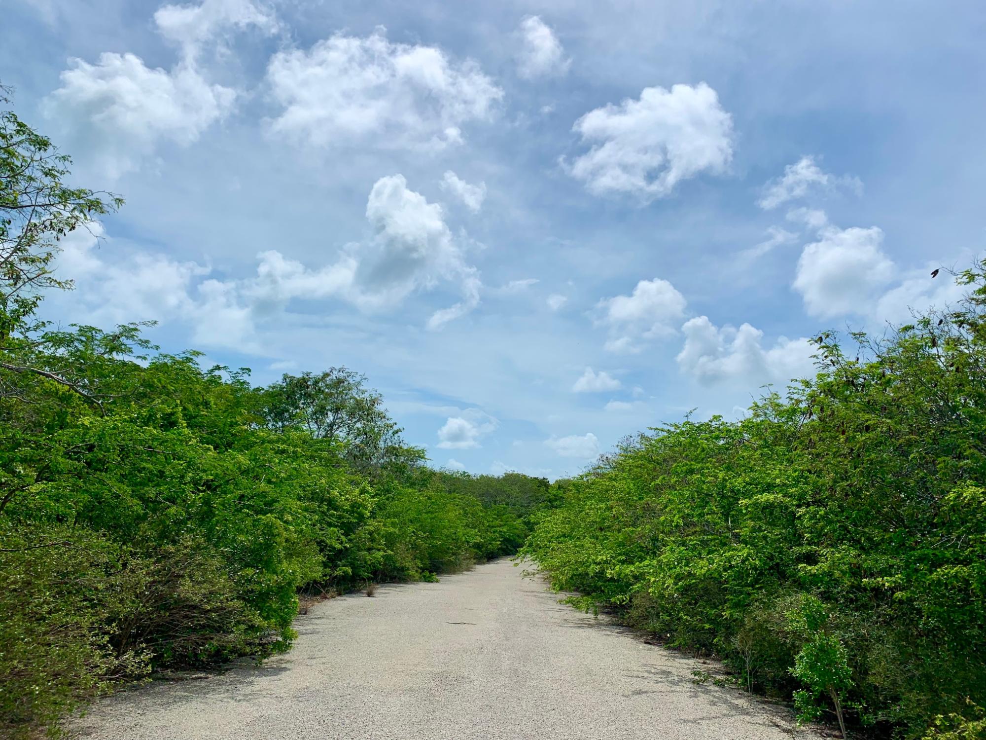 EXUMA VIEW