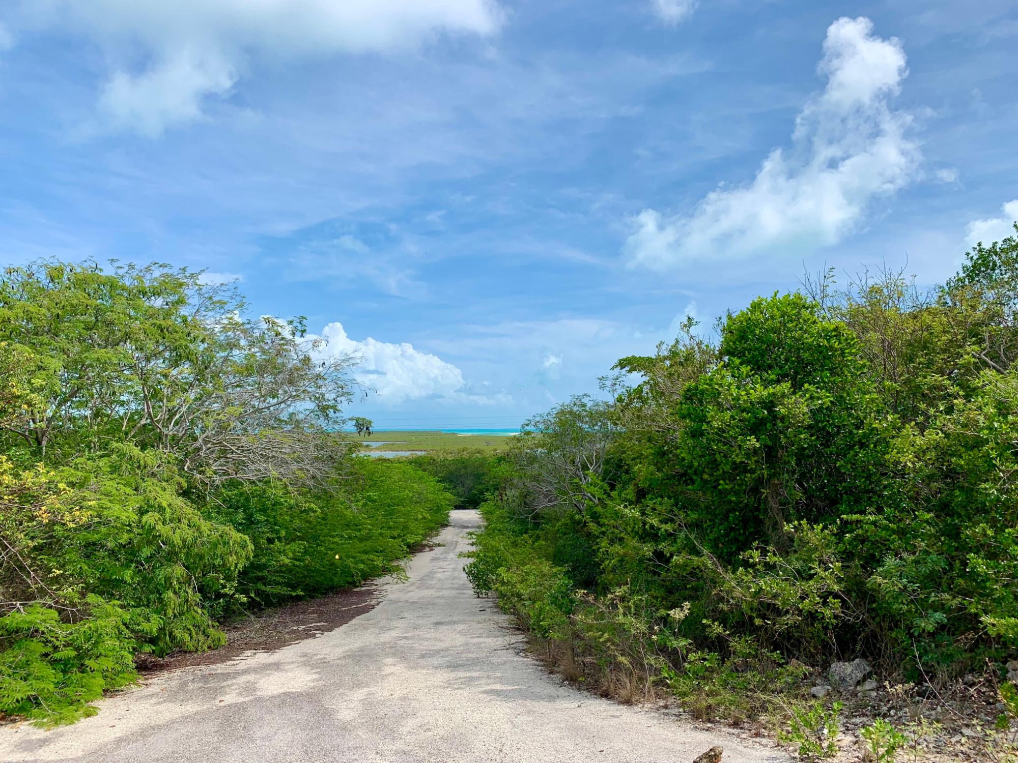 EXUMA VIEW