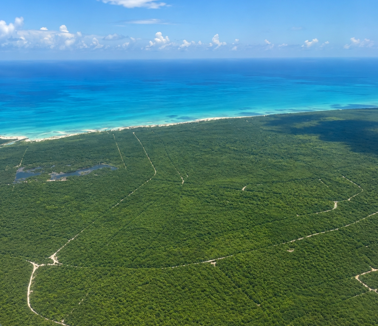 Bahama Sound16