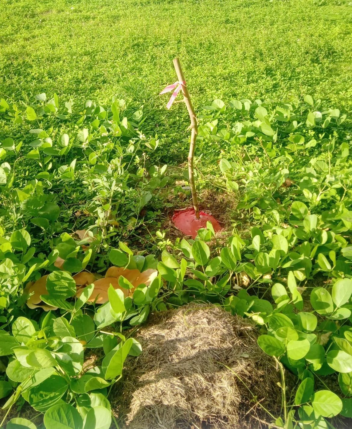 SMITHS HILL, SOUTH ANDROS