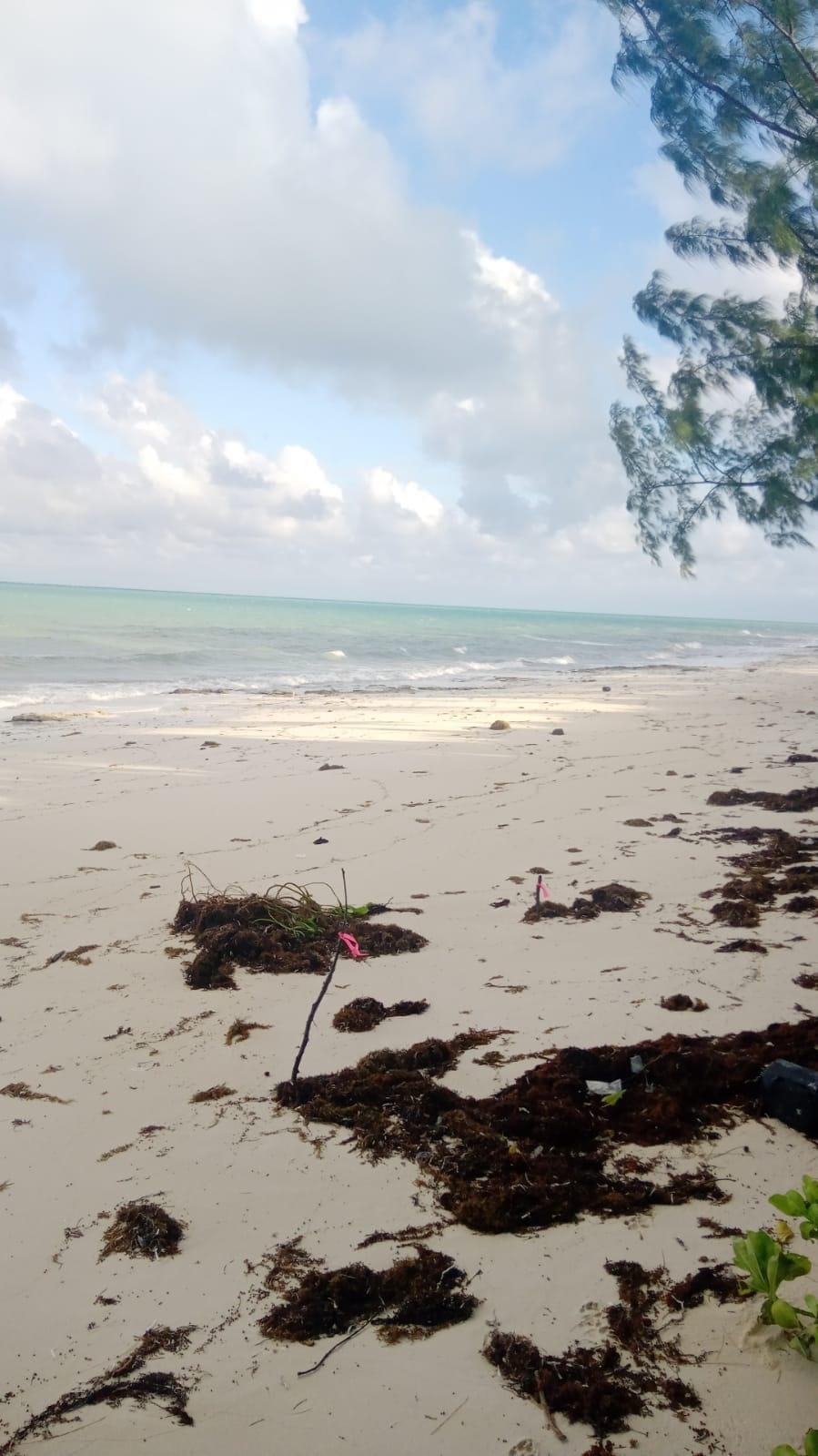SMITHS HILL, SOUTH ANDROS