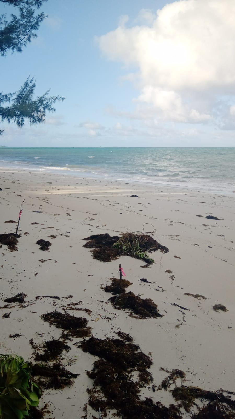 SMITHS HILL, SOUTH ANDROS
