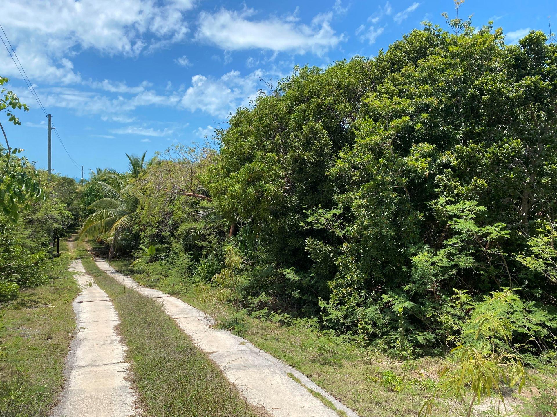 GREGORY TOWN ACRE LOT