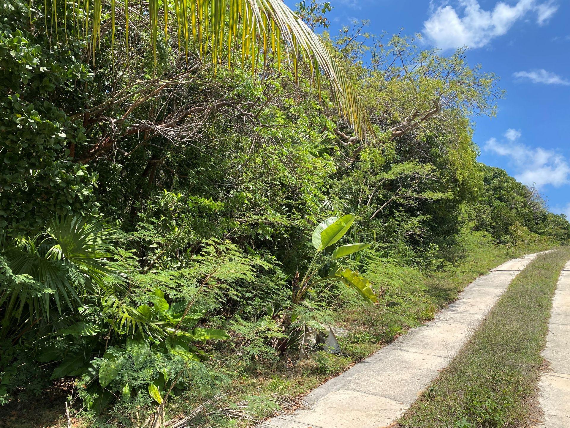 GREGORY TOWN ACRE LOT
