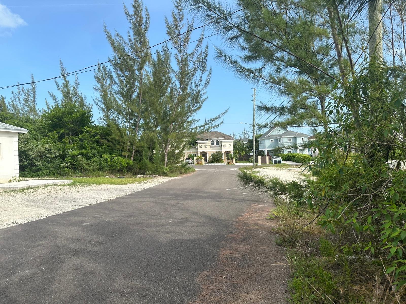 LOVE ESTATES/AIP LOT#39B