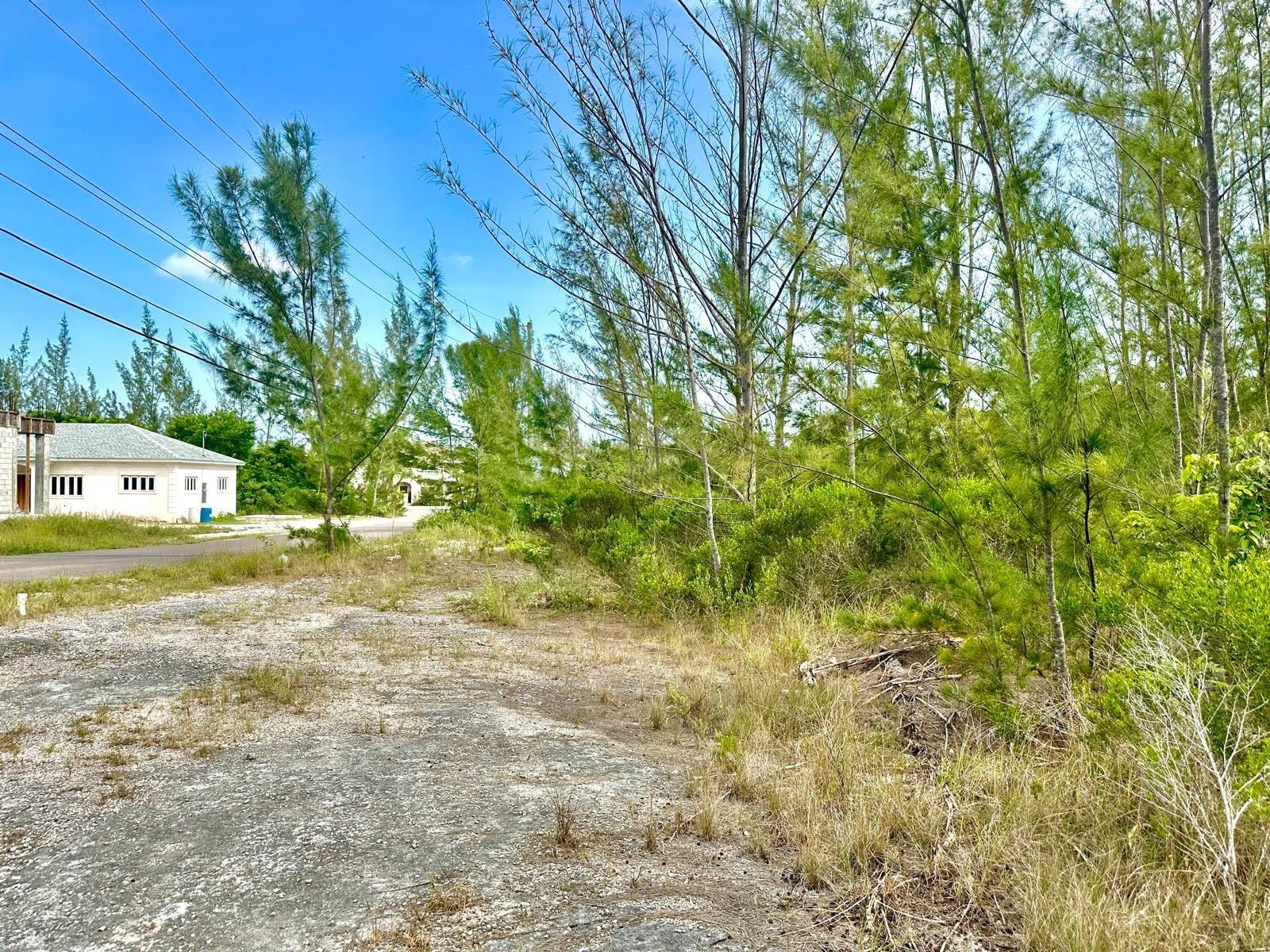 LOVE ESTATES/AIP LOT#39B