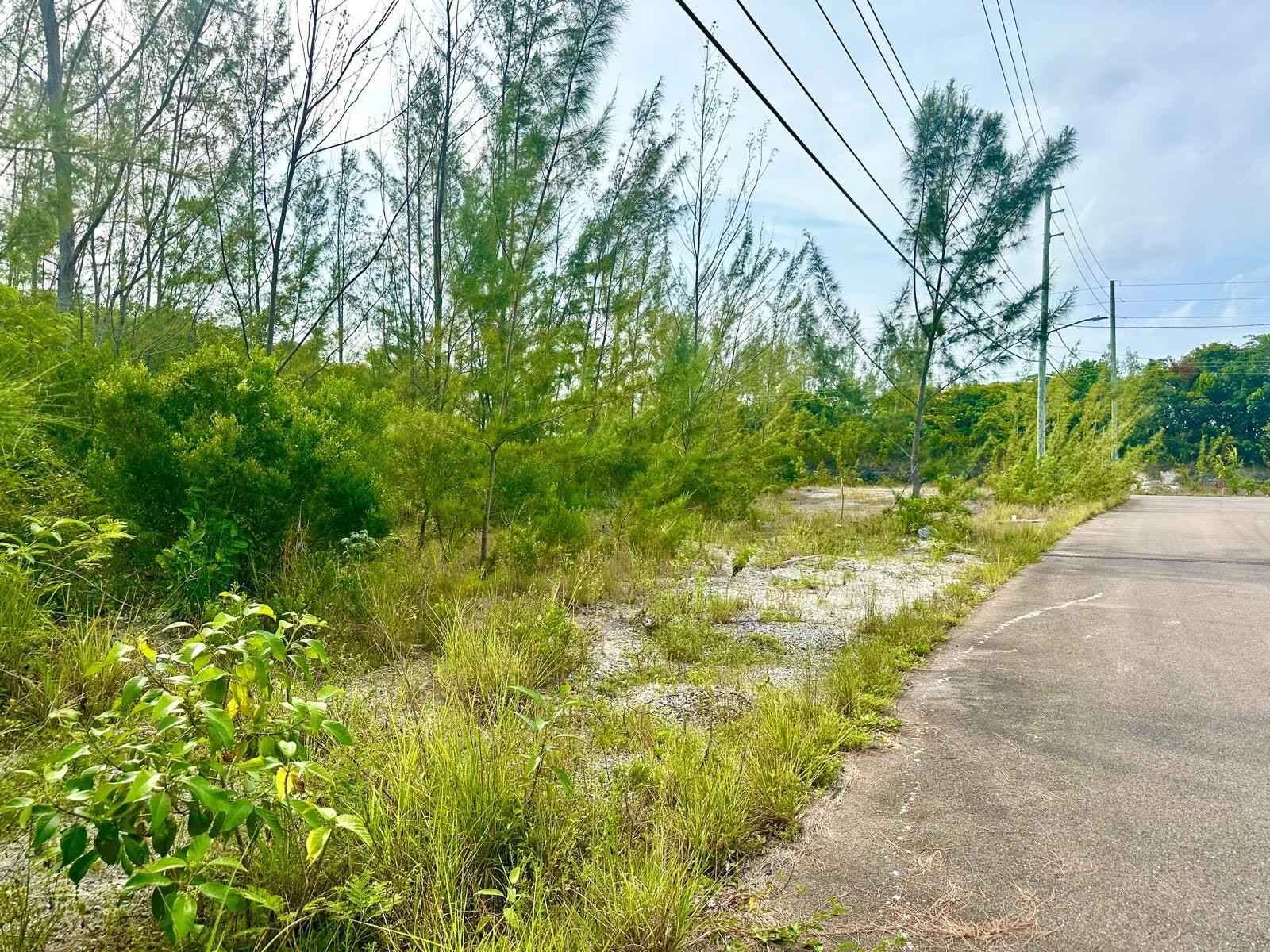 LOVE ESTATES/AIP LOT#39B