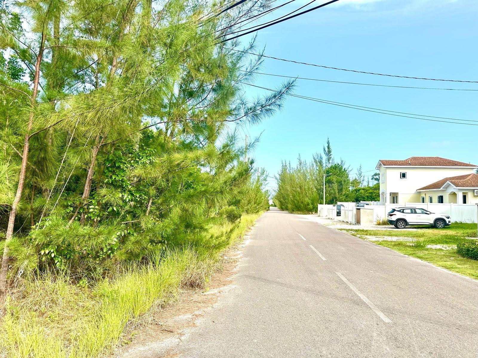 LOVE ESTATES/AIP LOT#39B