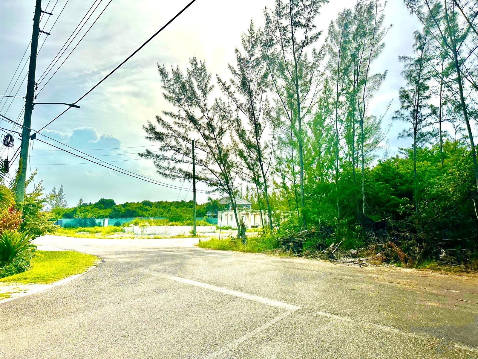 LOVE ESTATES/AIP LOT#39B