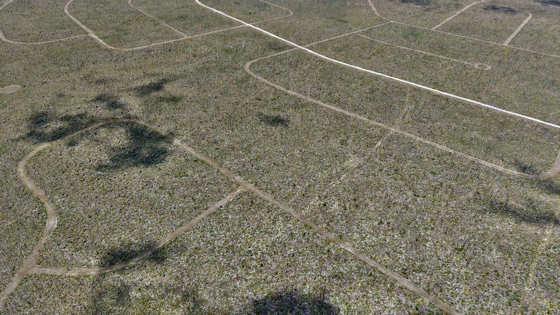LUCAYA ESTATES LOTS