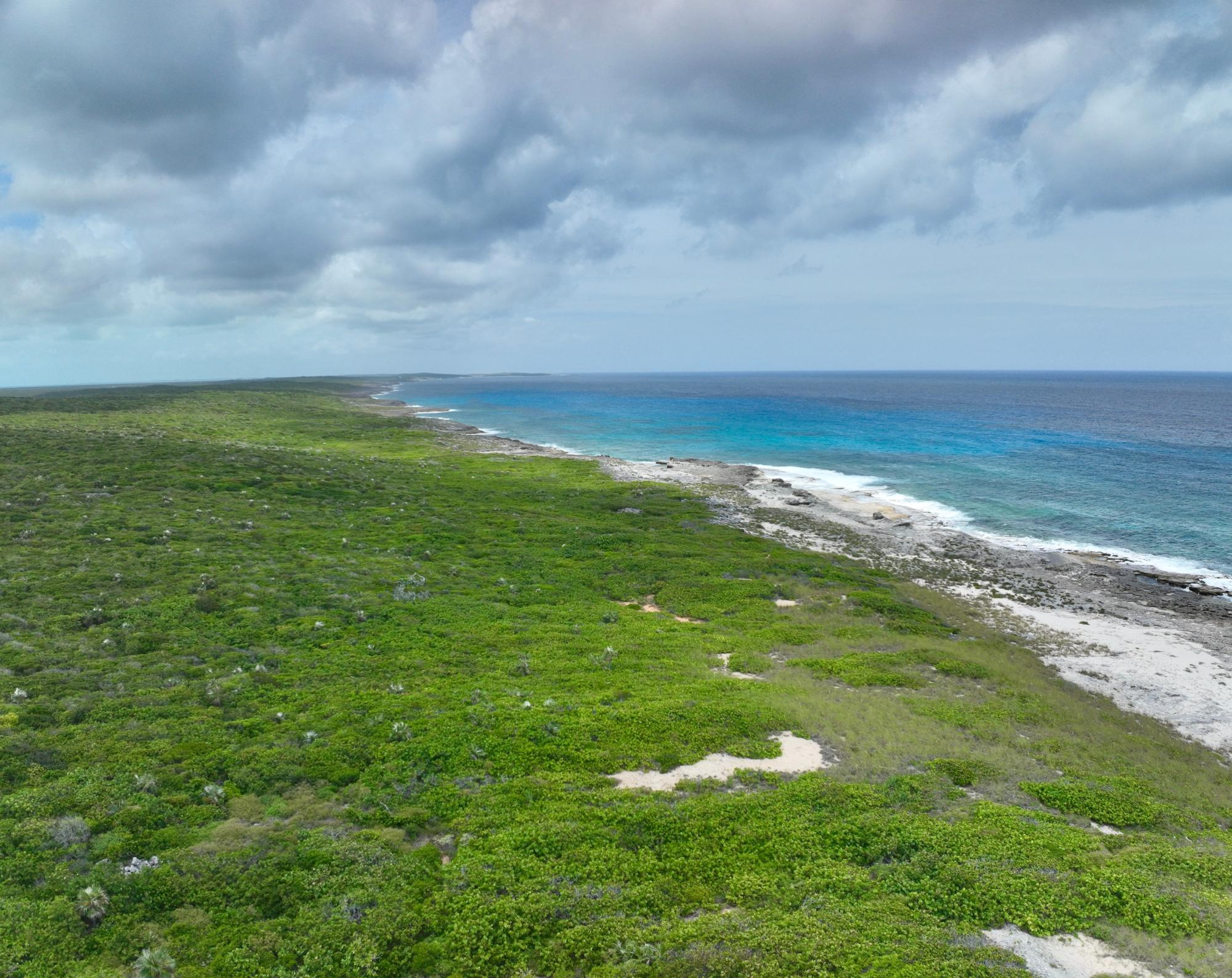 DEADMANS CAY