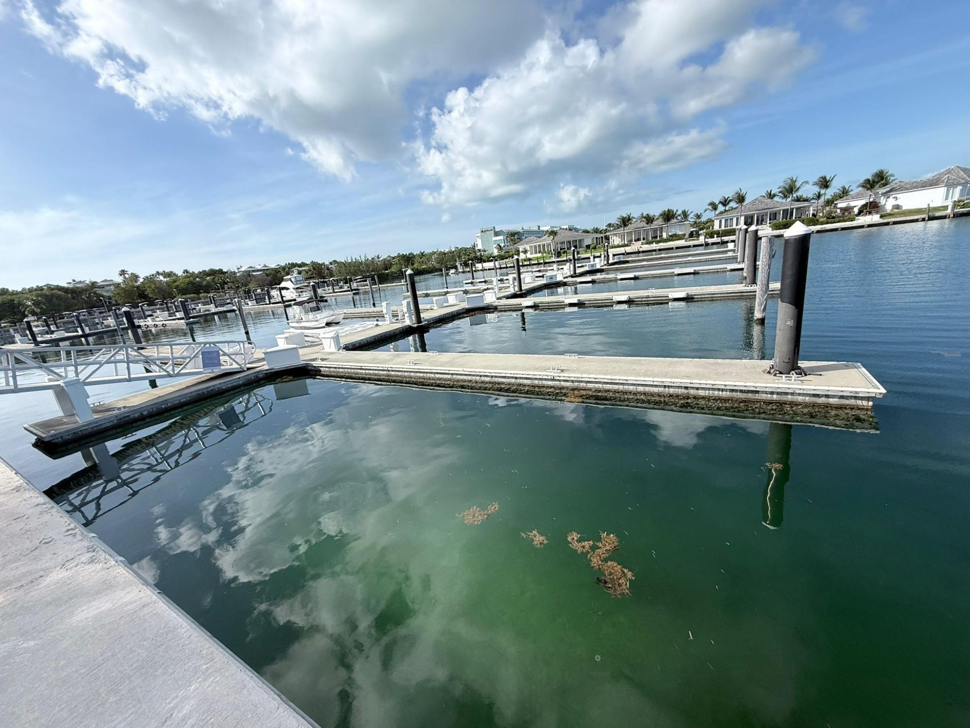 Dock Slip