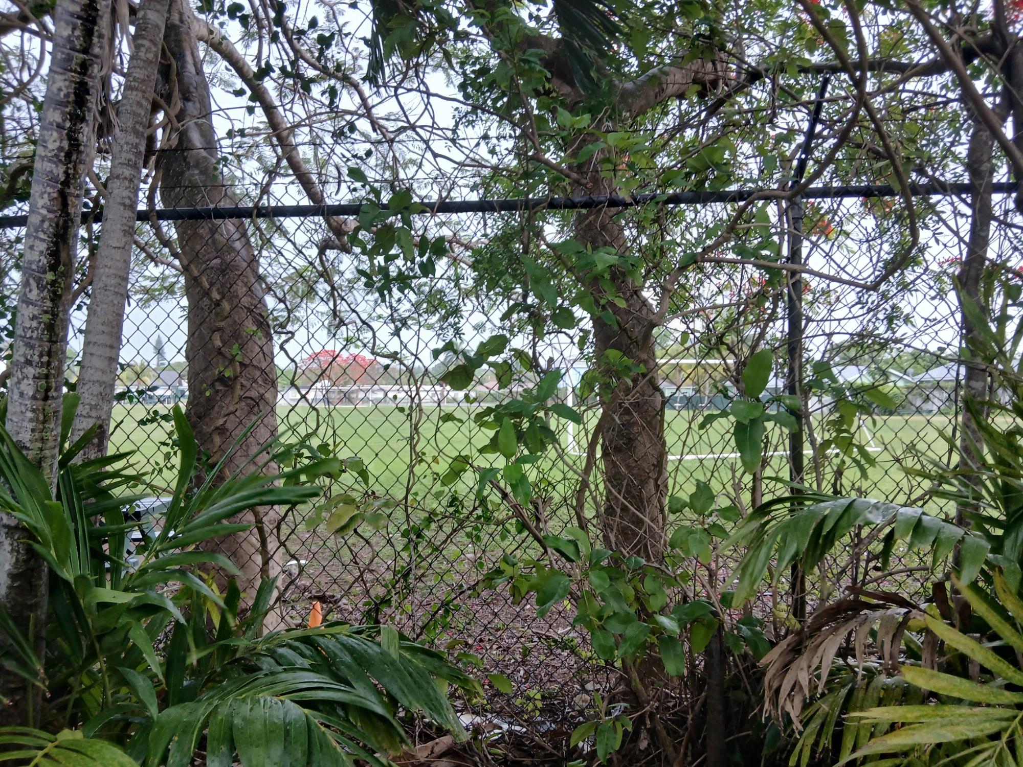 Conquest Estate subd