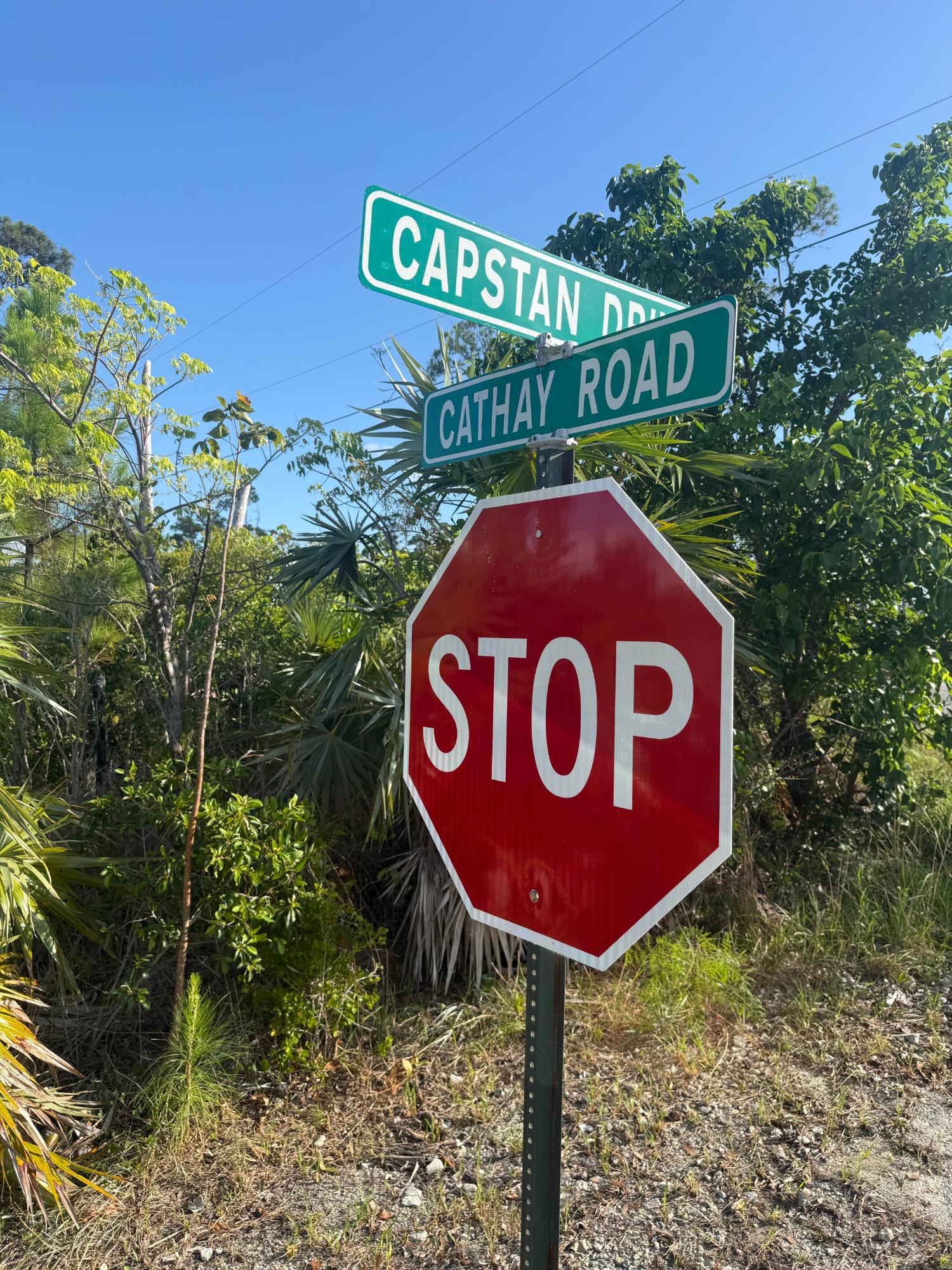 CAPSTAN DRIVE, CHESAPEAKE