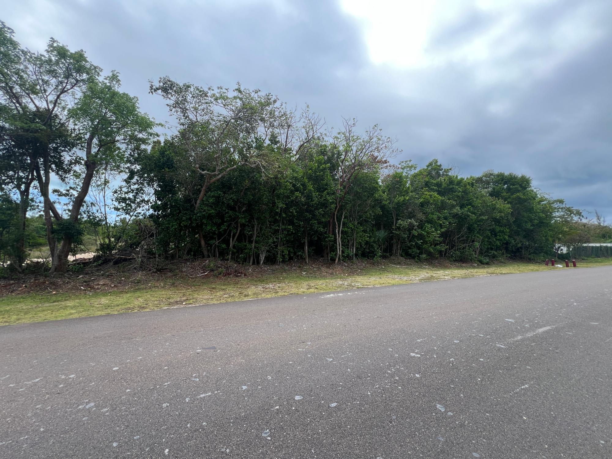 Nelson Road Acreage