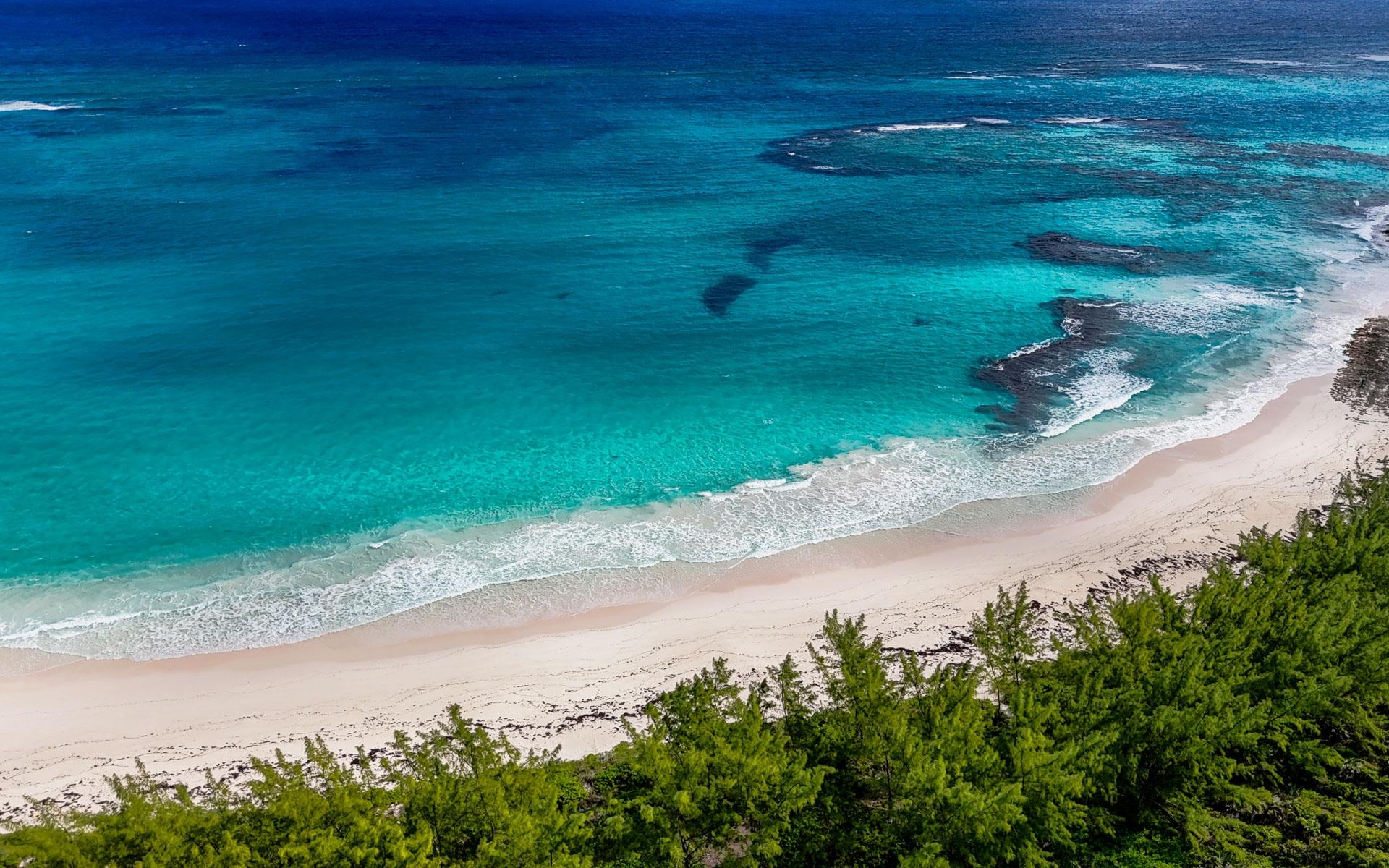 THE ISLAND BEACH CLUB