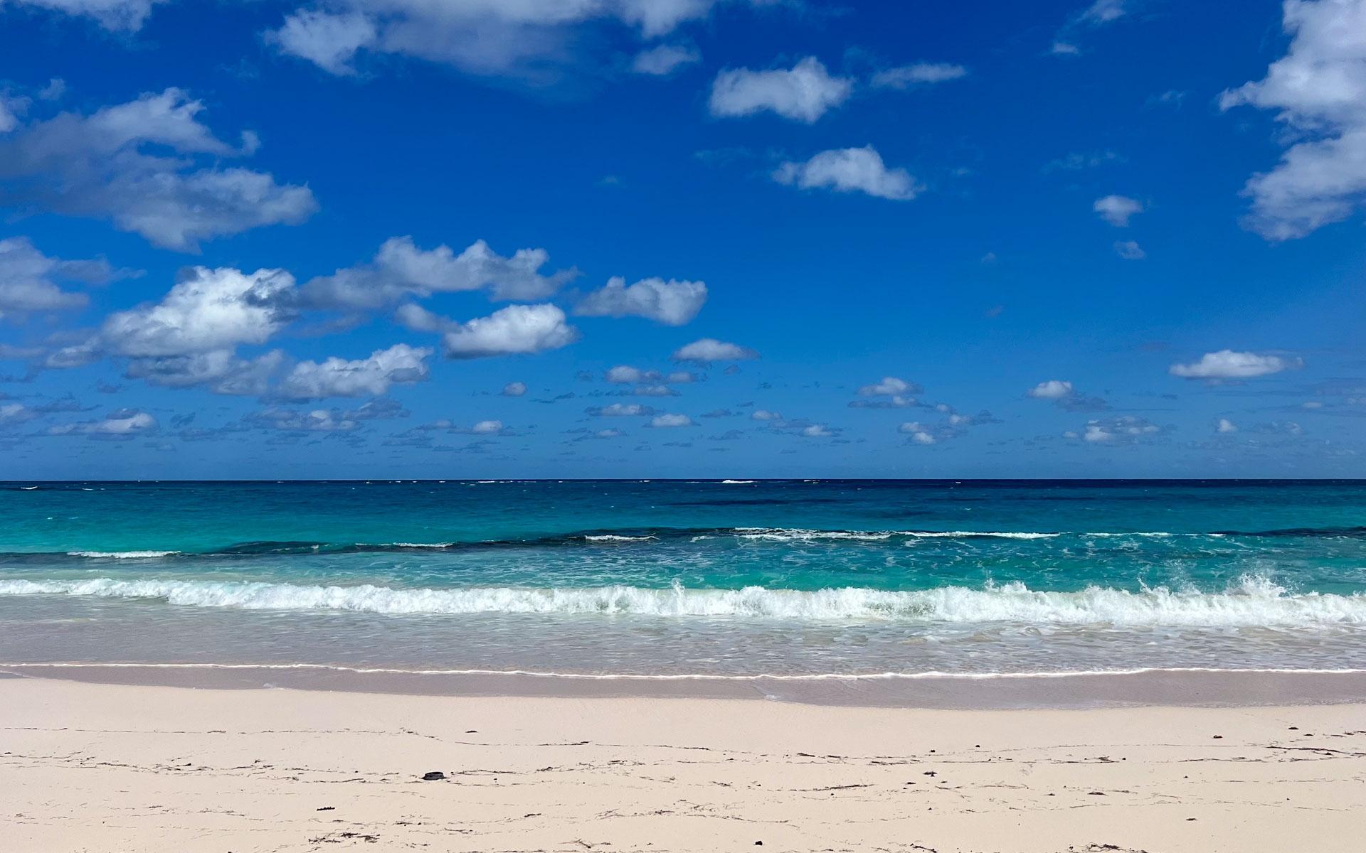 THE ISLAND BEACH CLUB