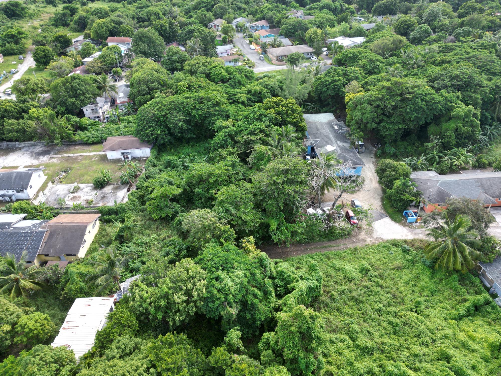 BRICE LANE LOT, FOX HILL