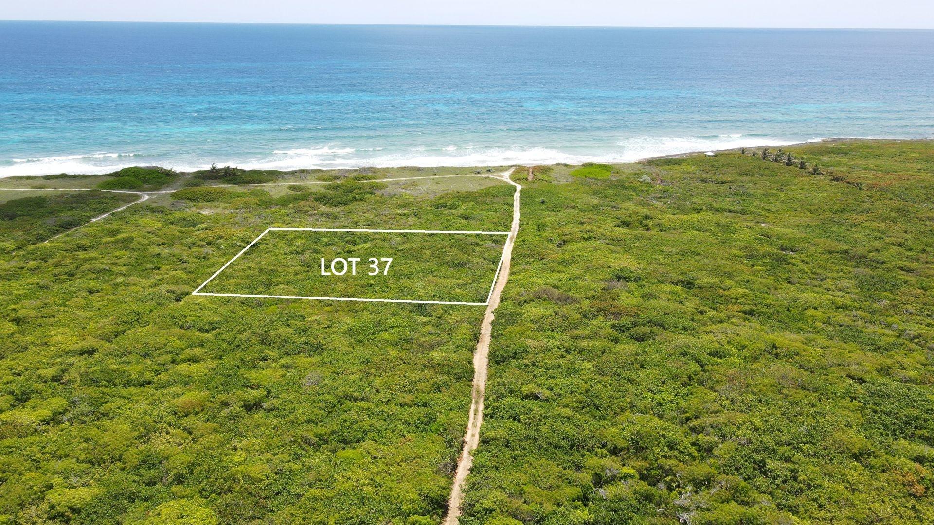LOT 37, TILLOO BEACH SUBD