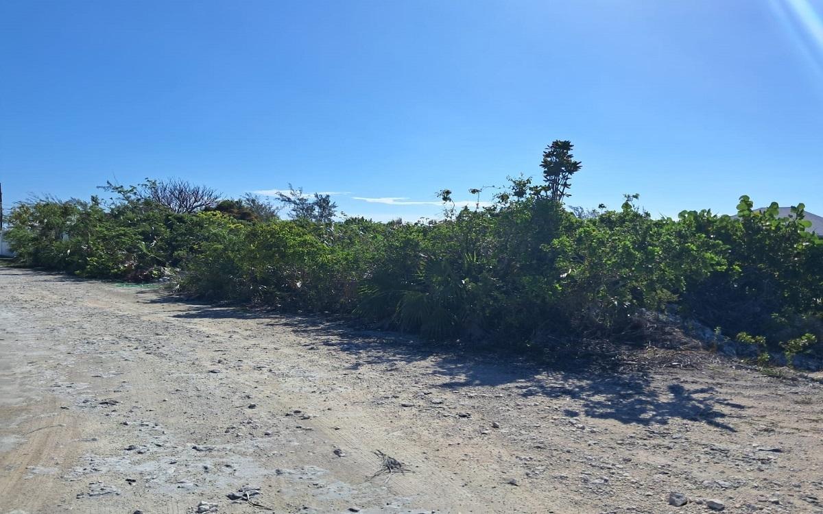 254 BAHAMA ISLAND BEACH