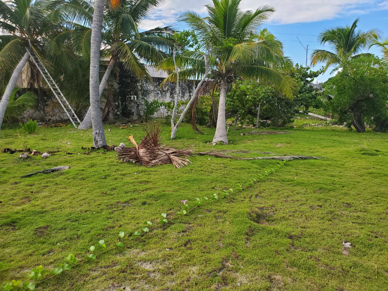 PELICAN SHORES