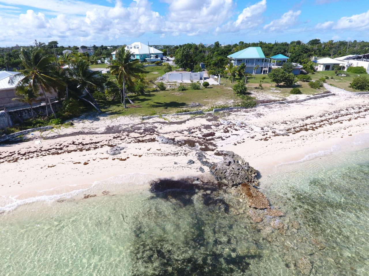 PELICAN SHORES