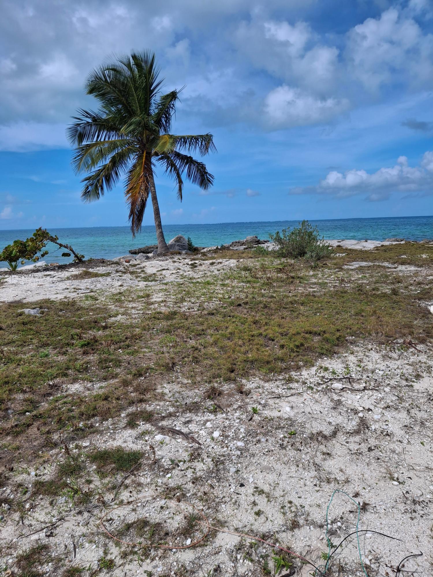 PELICAN SHORES
