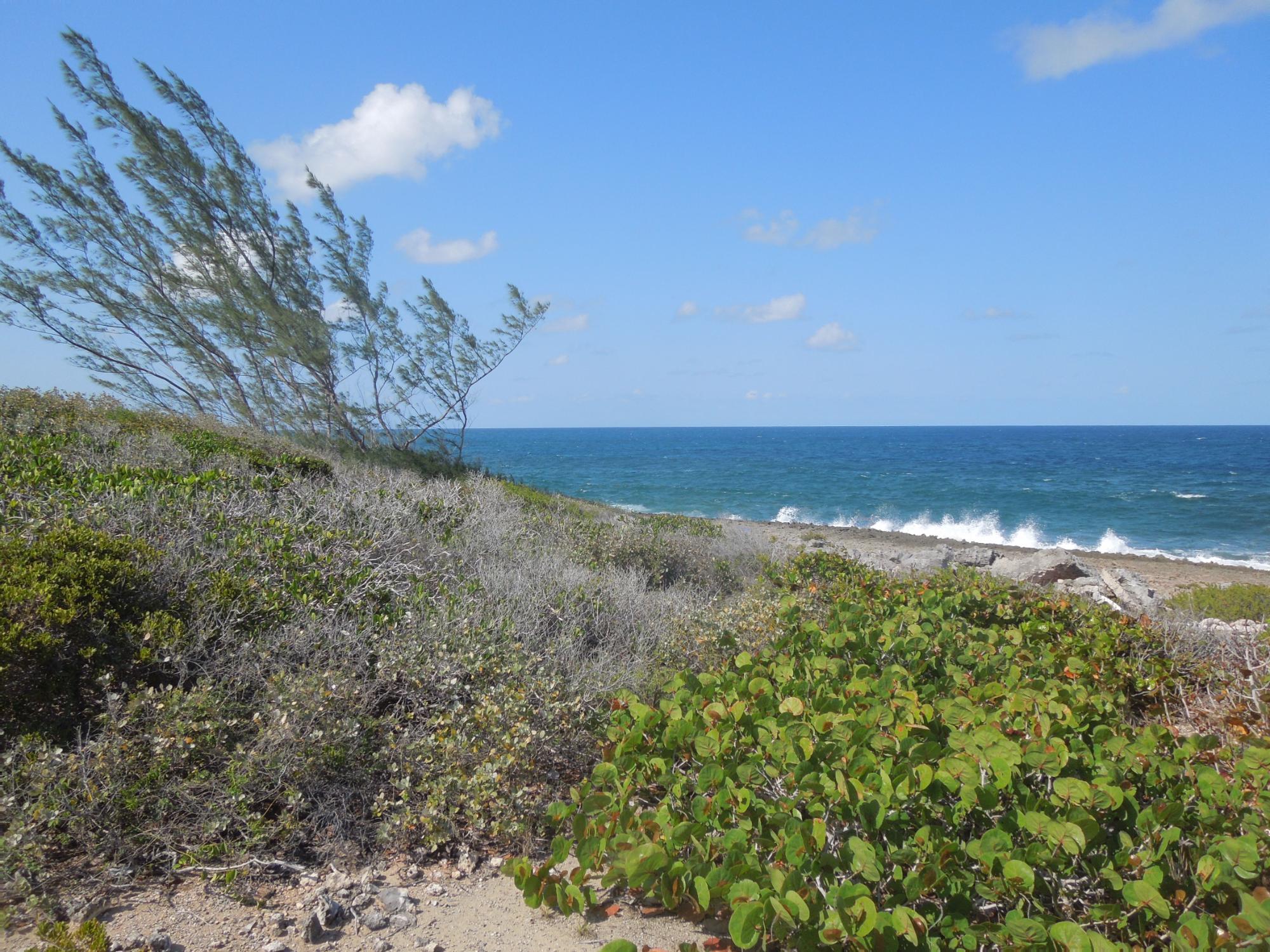 Waterfront Lot