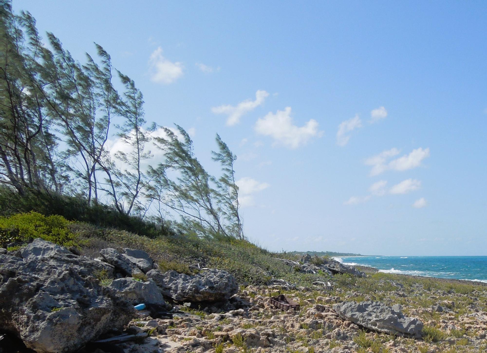 Waterfront Lot