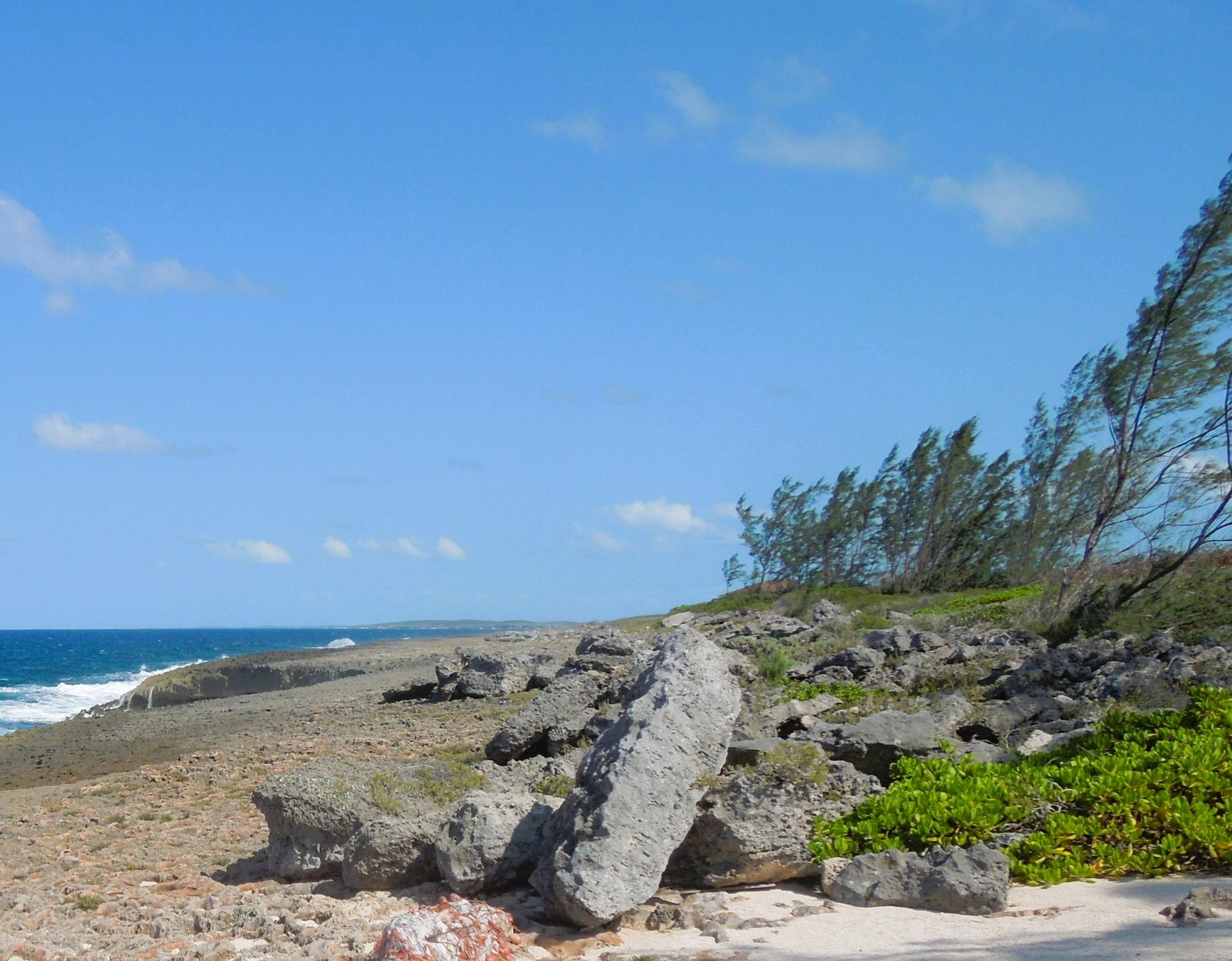Waterfront Lot