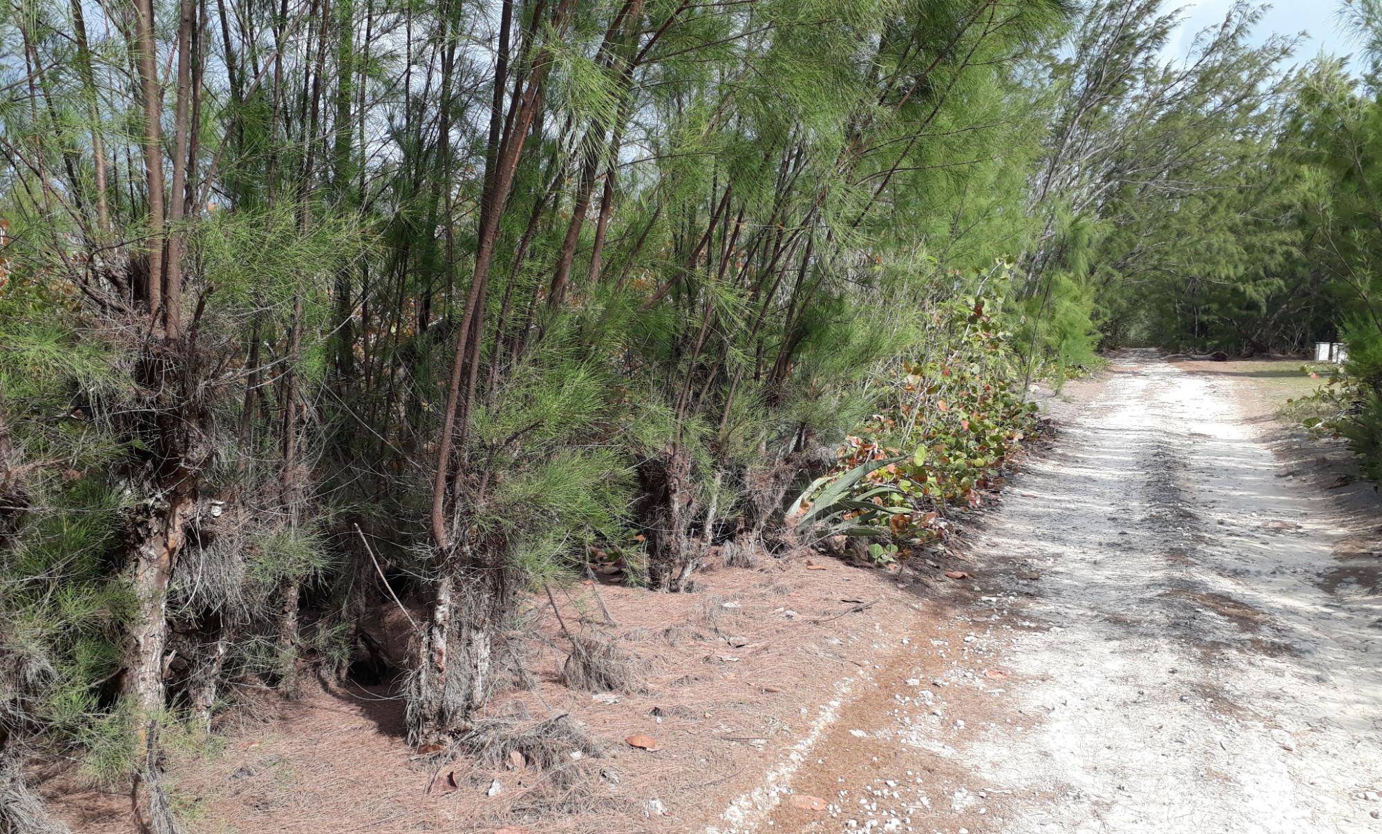 Waterfront Lot