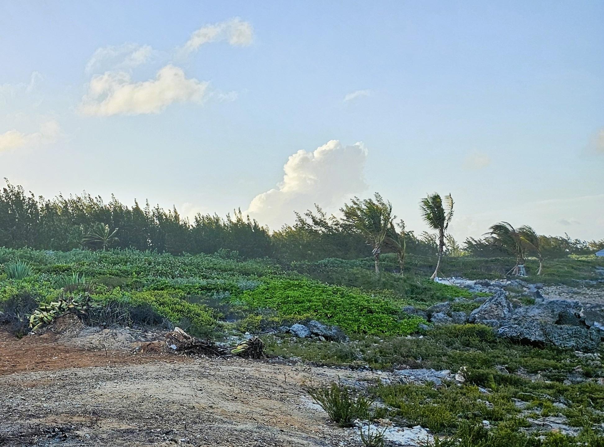 Waterfront Lot