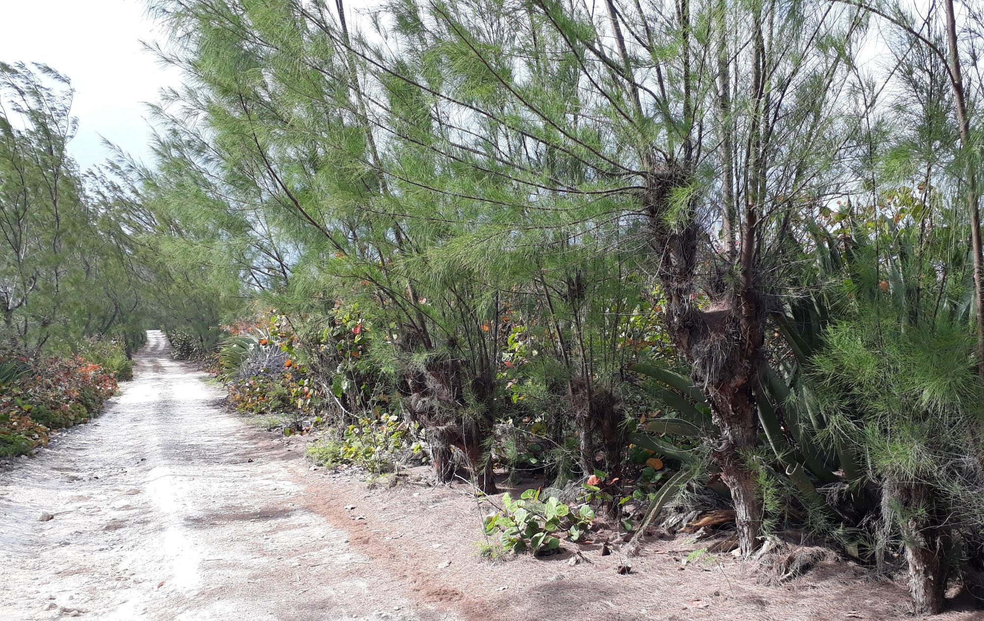 Waterfront Lot